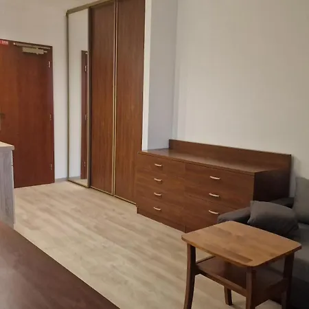 Whit Balcony And View Checkin - Drazdiak * Bratislava